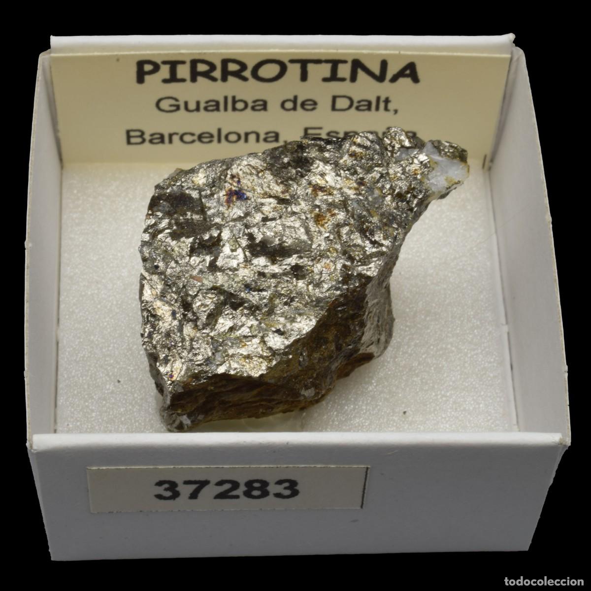 Coleccionismo de minerales: PIRROTINA (Gualba de Dalt, Barcelona, Espa&ntilde;a) #37283