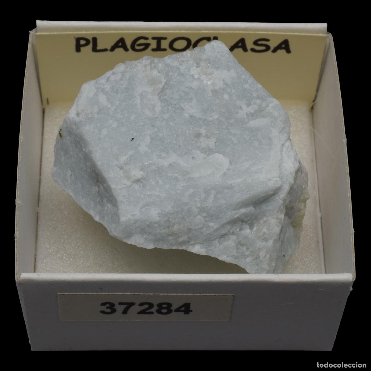 Collectionnisme de min&eacute;raux: PLAGIOCLASA (Sudafrica) #37284