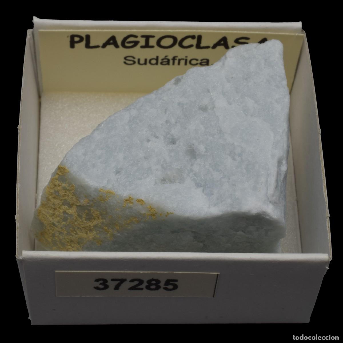 Collectionnisme de min&eacute;raux: PLAGIOCLASA (Sudafrica) #37285