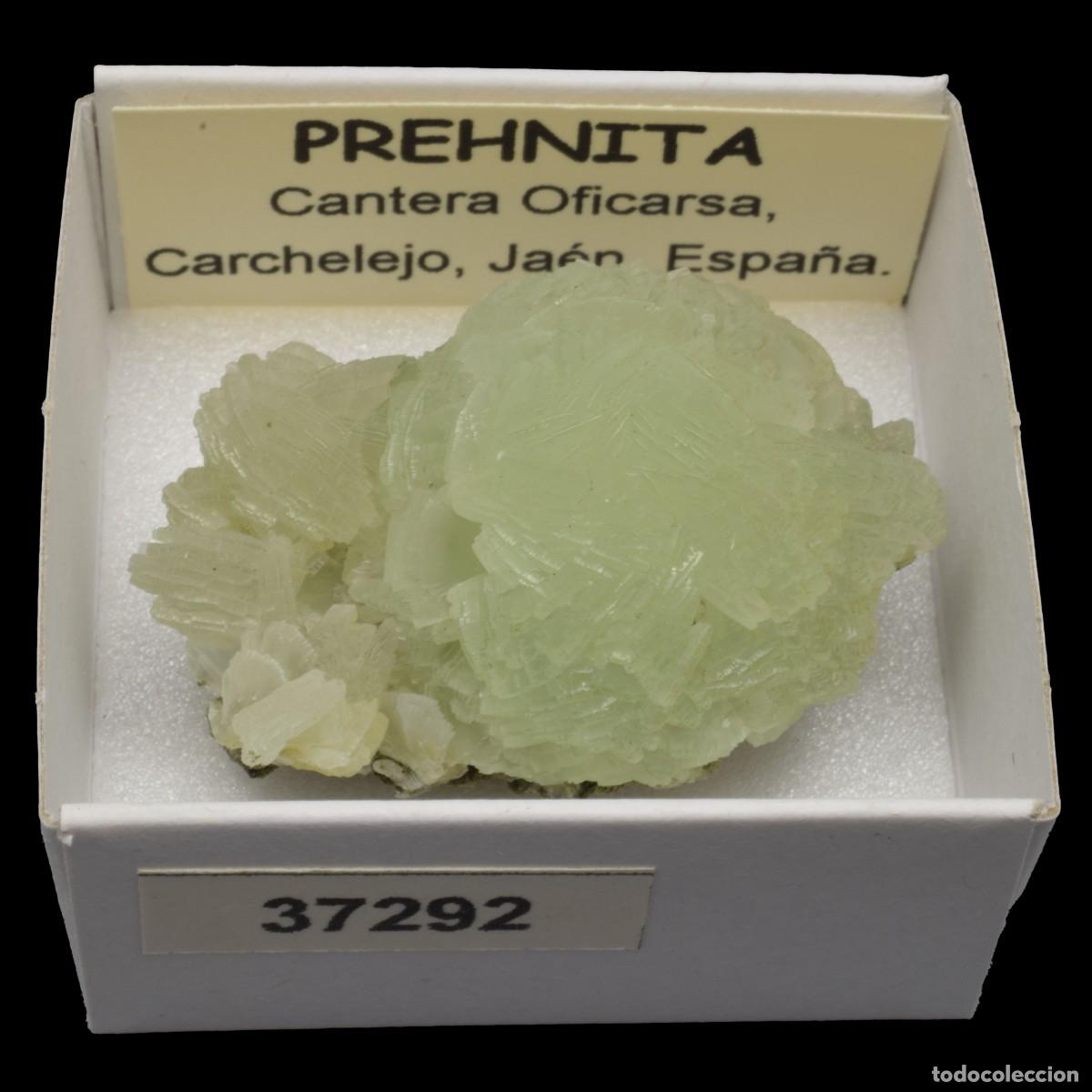 Collectionnisme de min&eacute;raux: PREHNITA(Cantera Oficarsa, Cachelejo, Jaen, Espa&ntilde;a) #37292