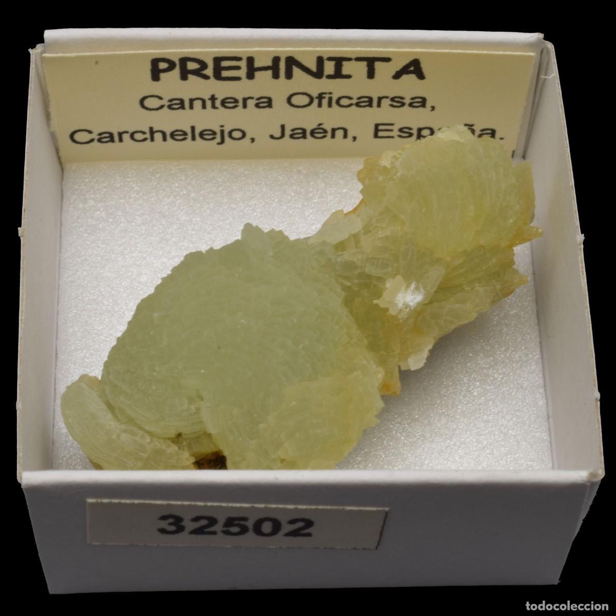Collectionnisme de min&eacute;raux: PREHNITA(Cantera Oficarsa, Cachelejo, Jaen, Espa&ntilde;a) #32502