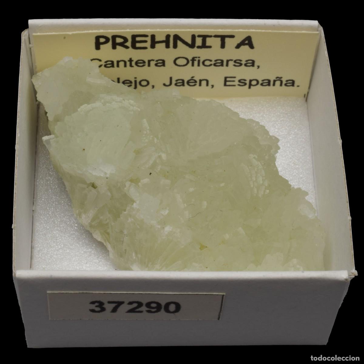 Collectionnisme de min&eacute;raux: PREHNITA(Cantera Oficarsa, Cachelejo, Jaen, Espa&ntilde;a) #37290