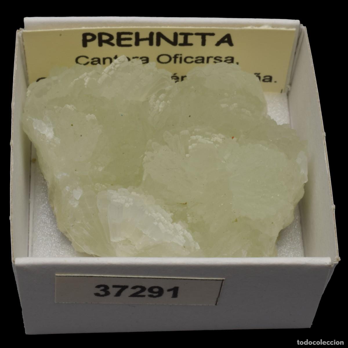 Collectionnisme de min&eacute;raux: PREHNITA(Cantera Oficarsa, Cachelejo, Jaen, Espa&ntilde;a) #37291