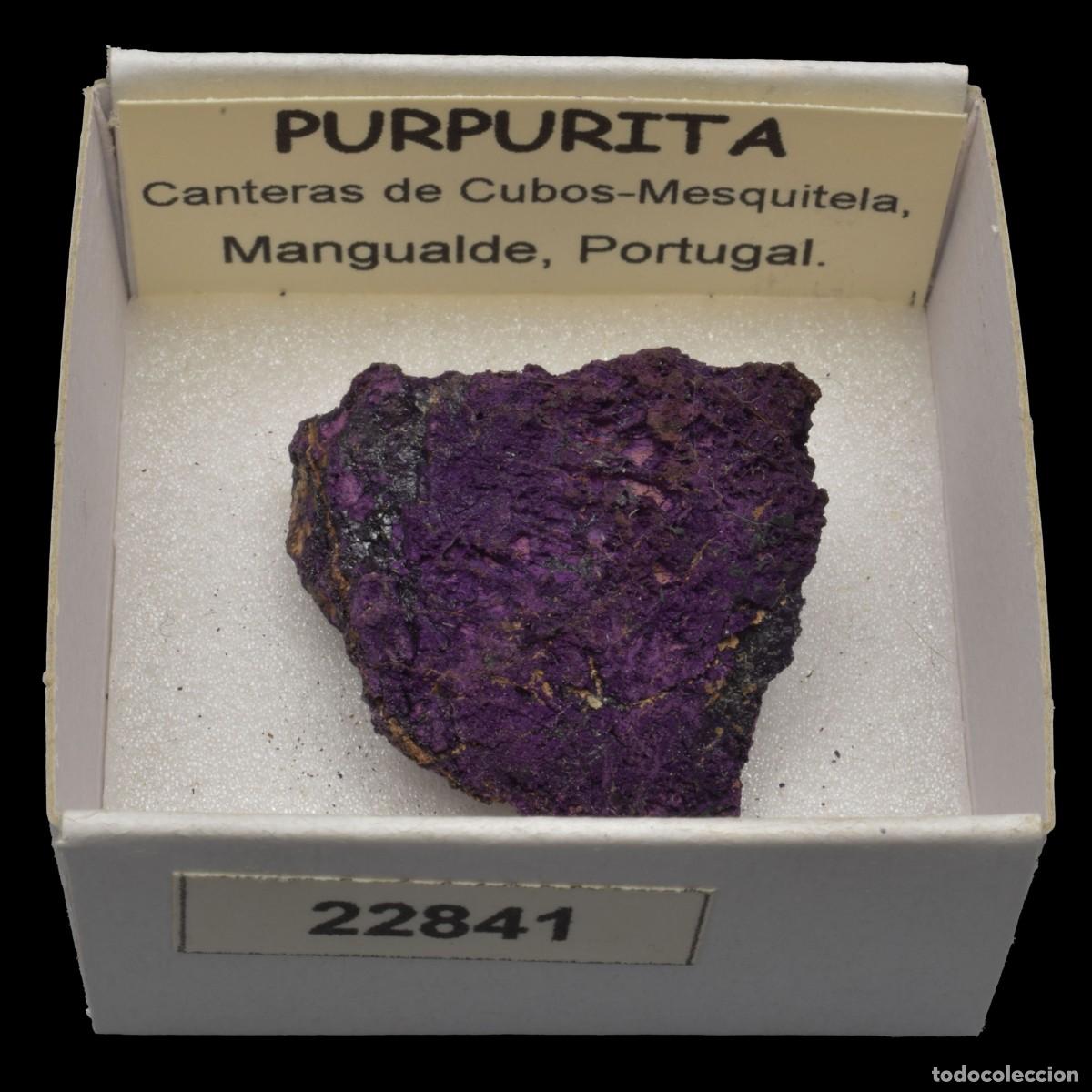 Collectionnisme de min&eacute;raux: PURPURITA (Canteras de Cubos-Mesquitela, Mangualde, Portugal) #22841