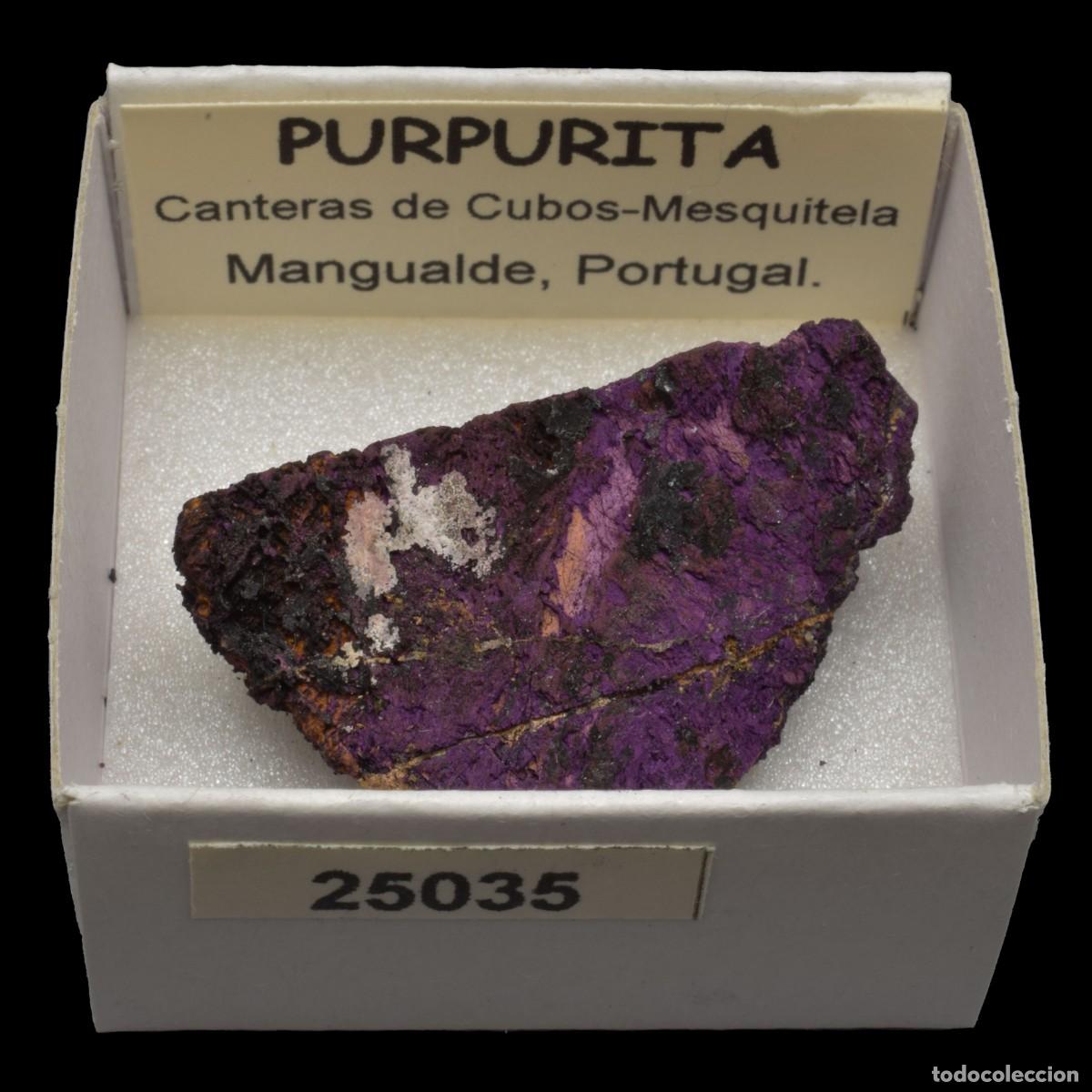 Collectionnisme de min&eacute;raux: PURPURITA (Canteras de Cubos-Mesquitela, Mangualde, Portugal) #25035