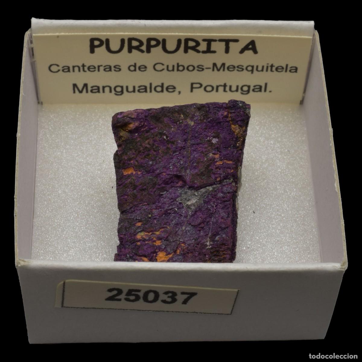Collectionnisme de min&eacute;raux: PURPURITA (Canteras de Cubos-Mesquitela, Mangualde, Portugal) #25037