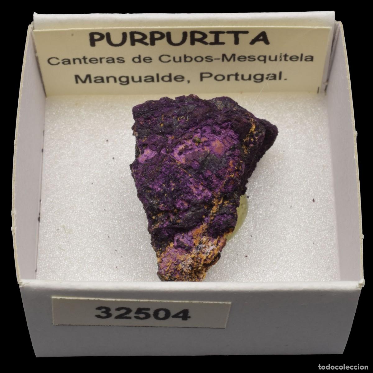 Collectionnisme de min&eacute;raux: PURPURITA (Canteras de Cubos-Mesquitela, Mangualde, Portugal) #32504
