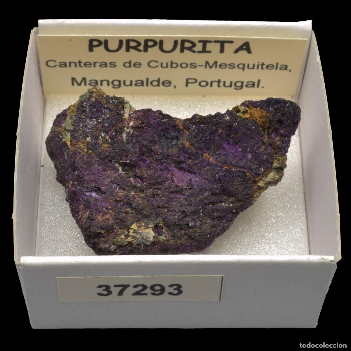 Collectionnisme de min&eacute;raux: PURPURITA (Canteras de Cubos-Mesquitela, Mangualde, Portugal) #37293
