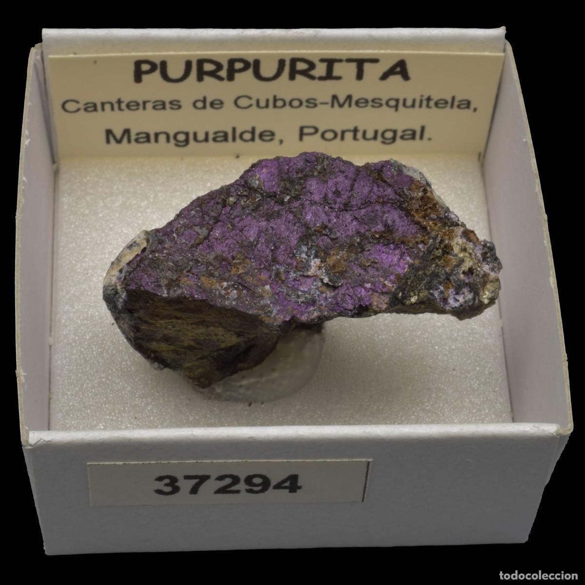 Collectionnisme de min&eacute;raux: PURPURITA (Canteras de Cubos-Mesquitela, Mangualde, Portugal) #37294