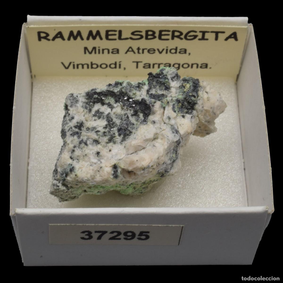 Collectionnisme de min&eacute;raux: RAMMELSBERGITA (Mina Atrevida, Vimbodi, Tarragona, Espa&ntilde;a) #37295