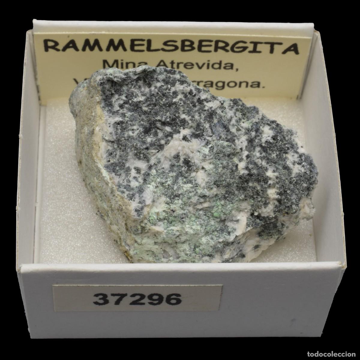 Collectionnisme de min&eacute;raux: RAMMELSBERGITA (Mina Atrevida, Vimbodi, Tarragona, Espa&ntilde;a) #37296