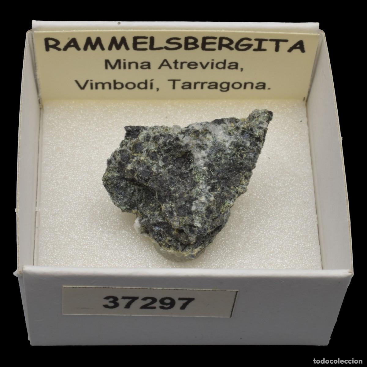 Collectionnisme de min&eacute;raux: RAMMELSBERGITA (Mina Atrevida, Vimbodi, Tarragona, Espa&ntilde;a) #37297