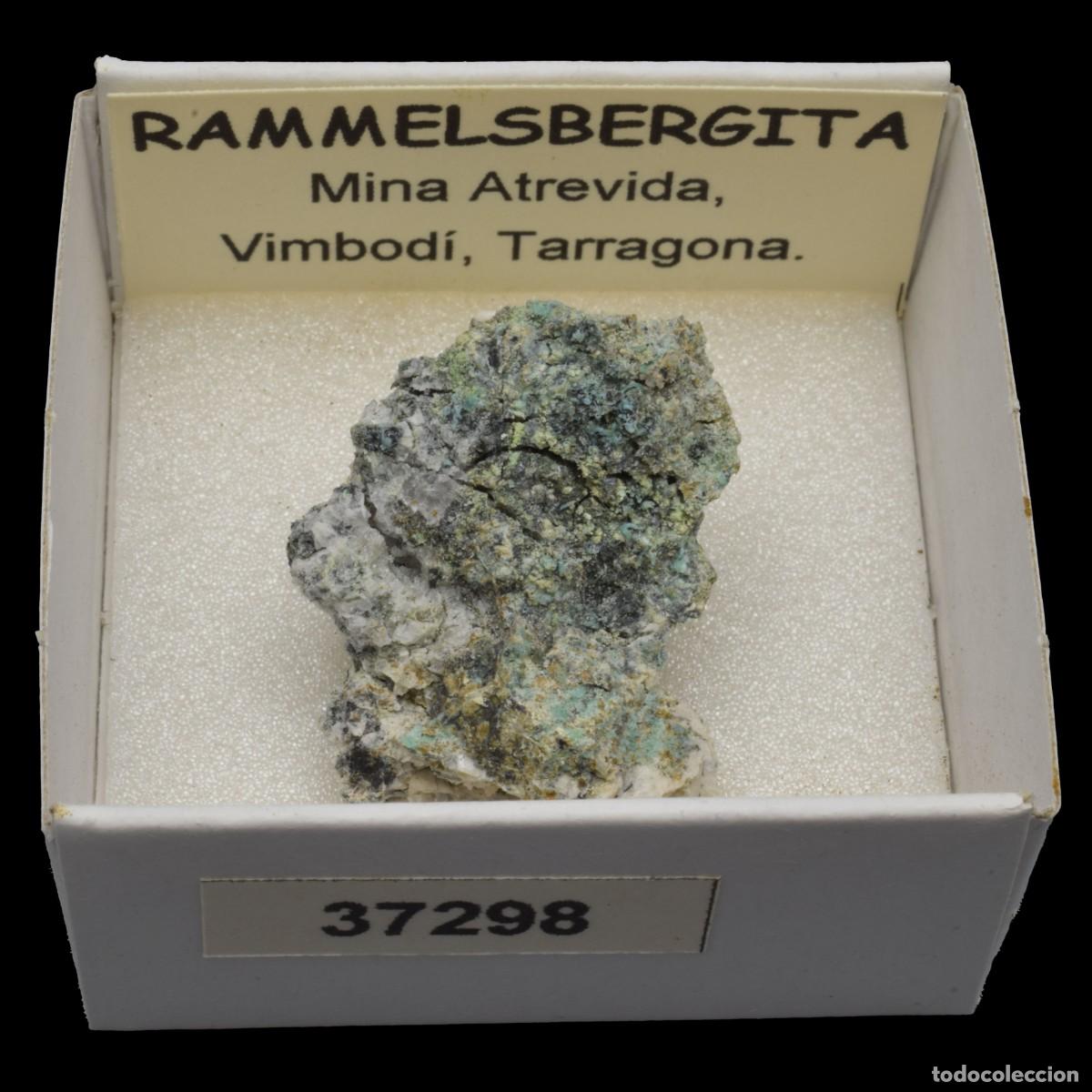 Collectionnisme de min&eacute;raux: RAMMELSBERGITA (Mina Atrevida, Vimbodi, Tarragona, Espa&ntilde;a) #37298