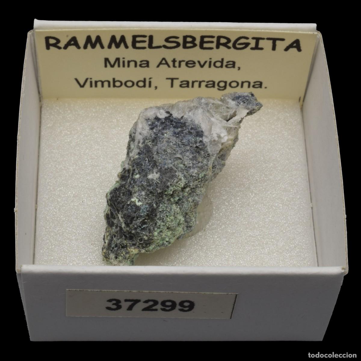 Collectionnisme de min&eacute;raux: RAMMELSBERGITA (Mina Atrevida, Vimbodi, Tarragona, Espa&ntilde;a) #37299