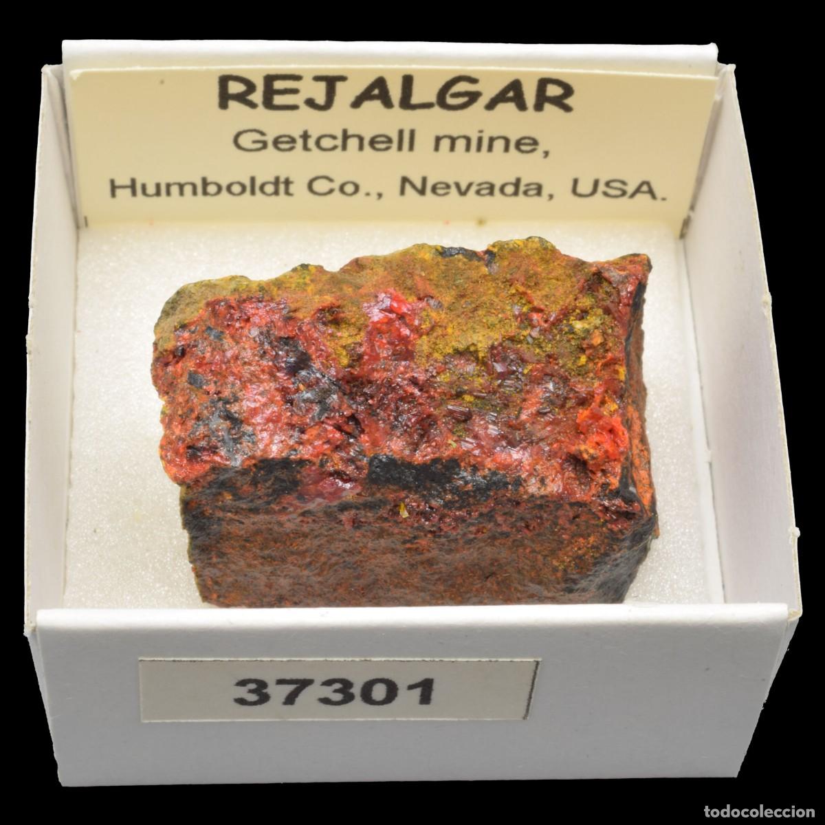 Collectionnisme de min&eacute;raux: REJALGAR (Getchell mine, Humboldt Co., Nevada, USA) #37301