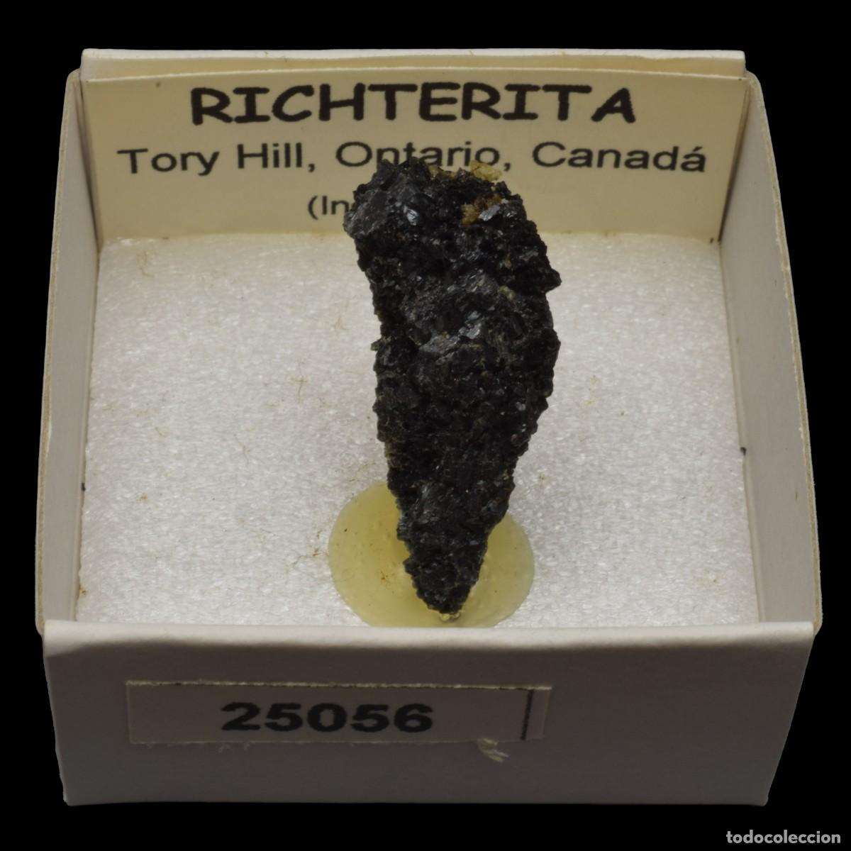 Collectionnisme de min&eacute;raux: RICHTERITA (Tory Hill, Ontario, Canada) #25056