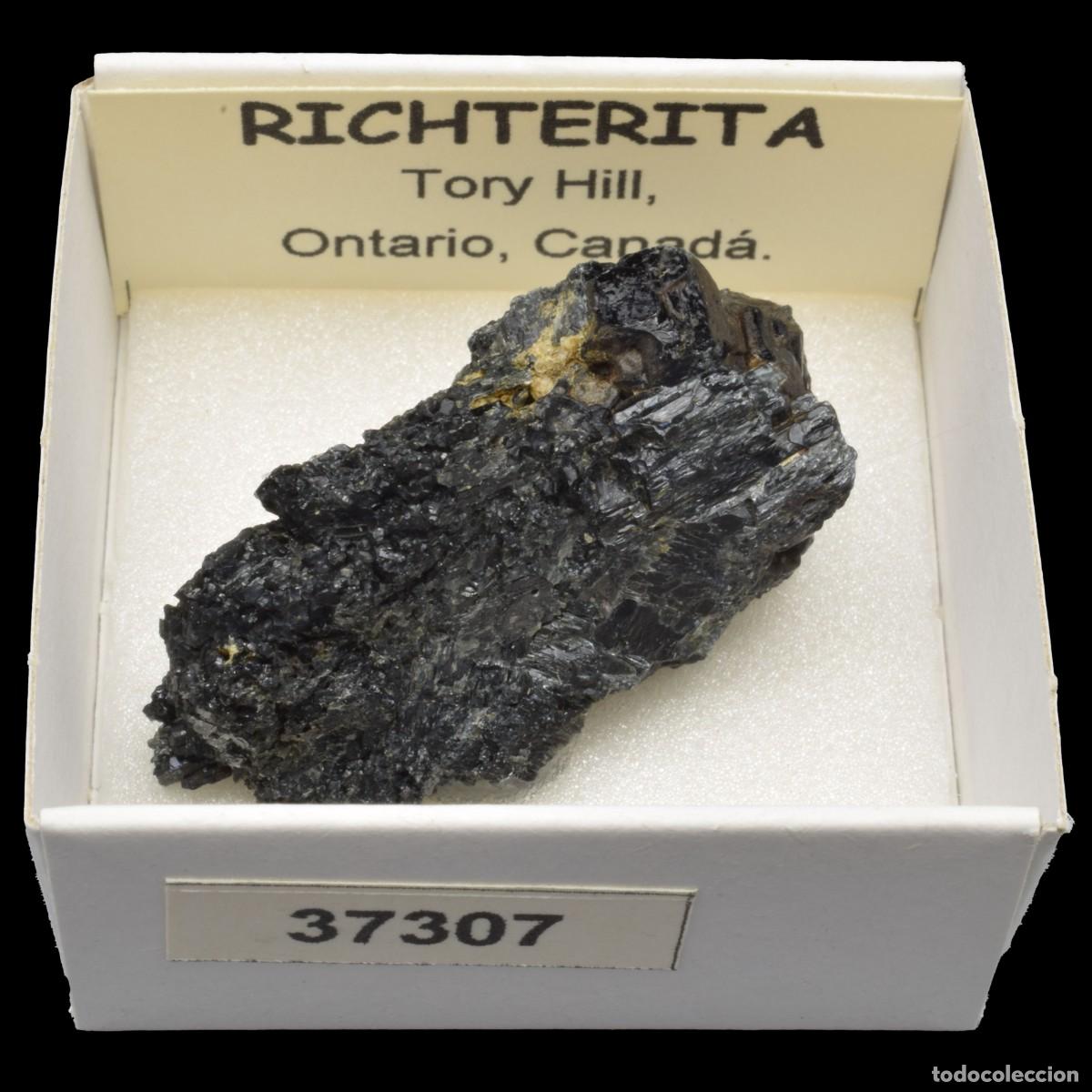 Collectionnisme de min&eacute;raux: RICHTERITA (Tory Hill, Ontario, Canada) #37307