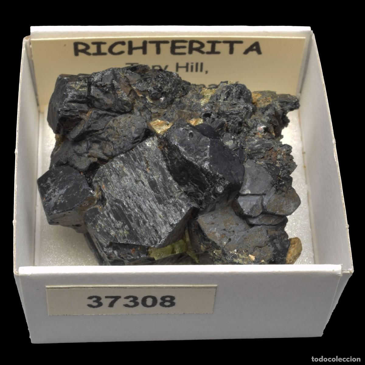 Collectionnisme de min&eacute;raux: RICHTERITA (Tory Hill, Ontario, Canada) #37308