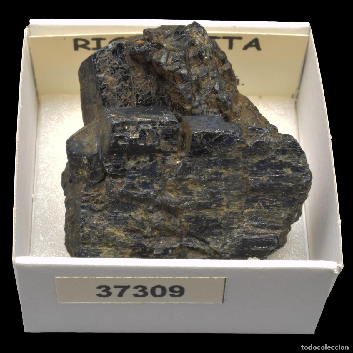 Collectionnisme de min&eacute;raux: RICHTERITA (Tory Hill, Ontario, Canada) #37309