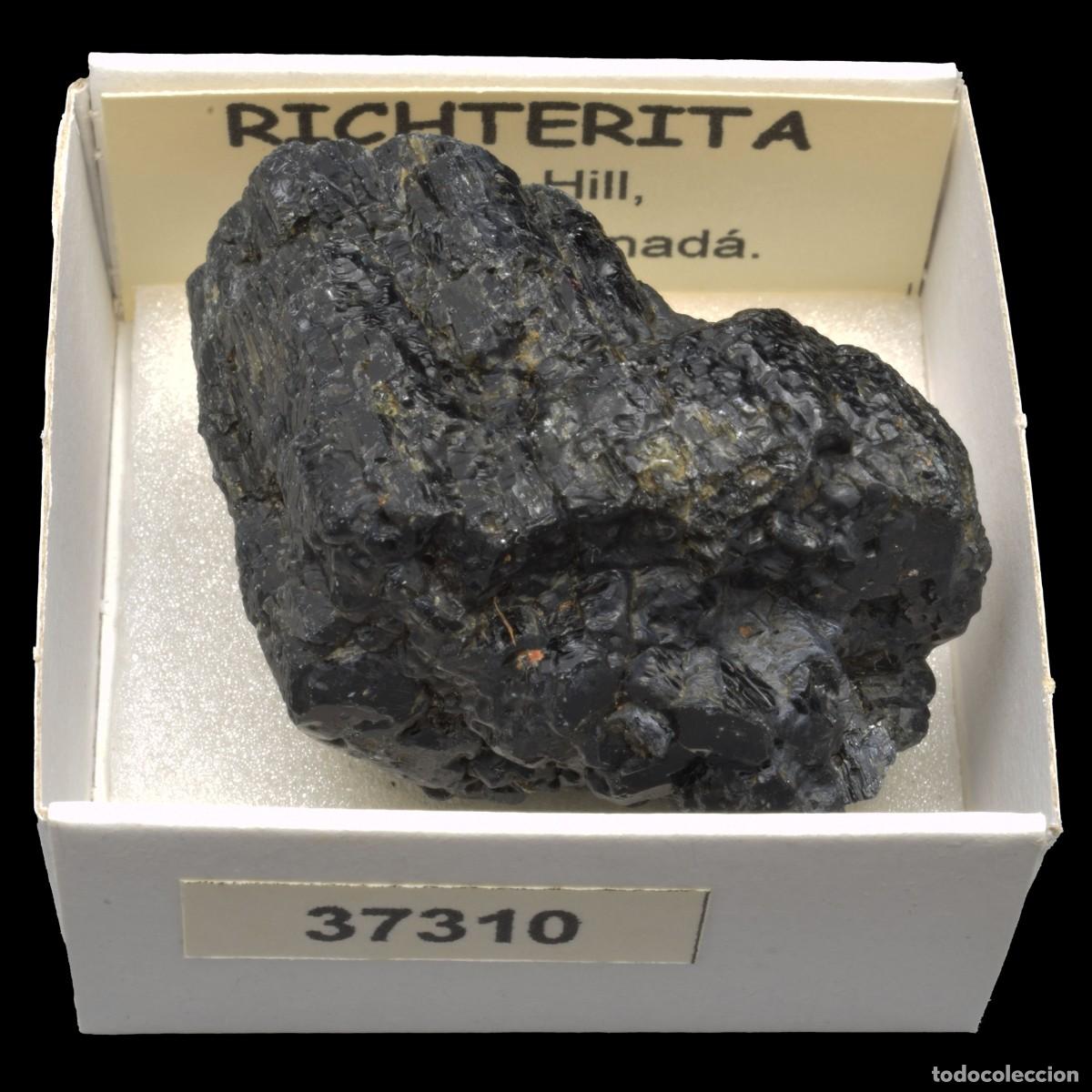 Collectionnisme de min&eacute;raux: RICHTERITA (Tory Hill, Ontario, Canada) #37310