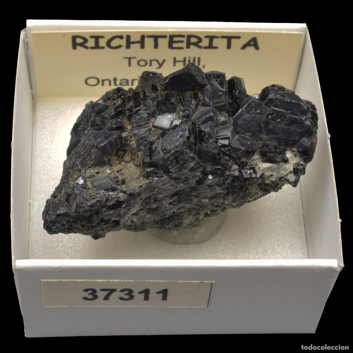 Collectionnisme de min&eacute;raux: RICHTERITA (Tory Hill, Ontario, Canada) #37311