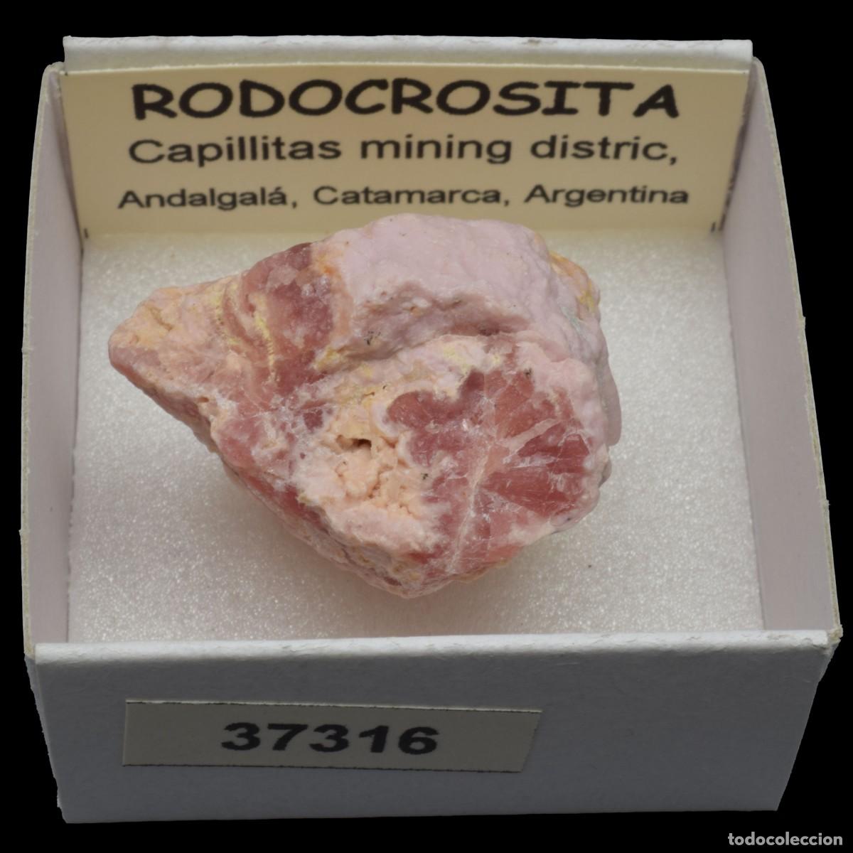 Collectionnisme de min&eacute;raux: RODOCROSITA (Capillitas mining district, Andalgala, Catamarca, Argentina) #37316