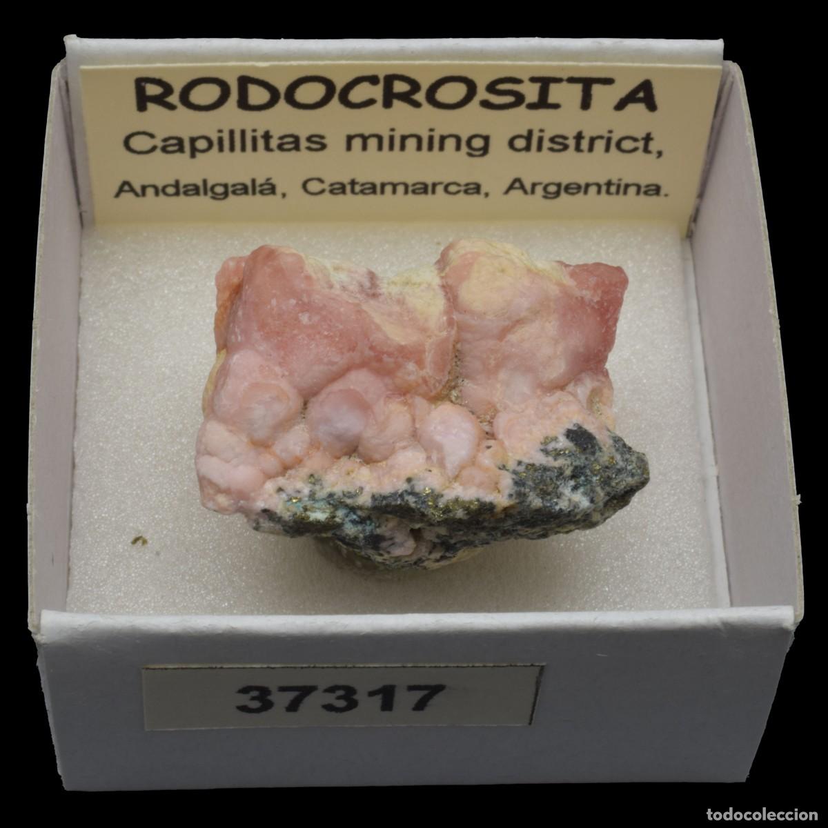 Collectionnisme de min&eacute;raux: RODOCROSITA (Capillitas mining district, Andalgala, Catamarca, Argentina) #37317
