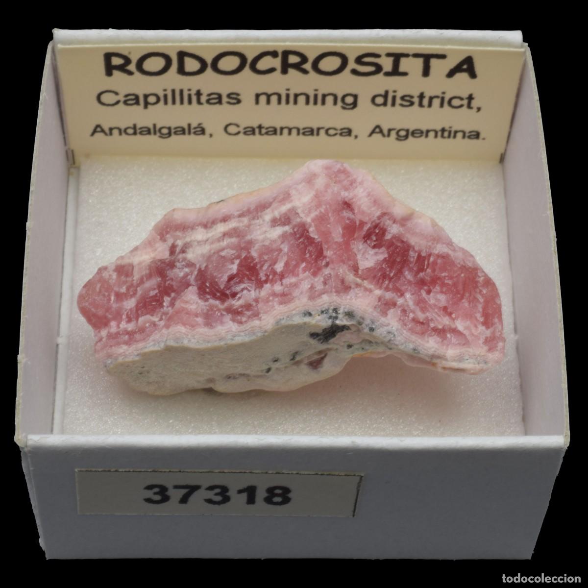 Collectionnisme de min&eacute;raux: RODOCROSITA (Capillitas mining district, Andalgala, Catamarca, Argentina) #37318