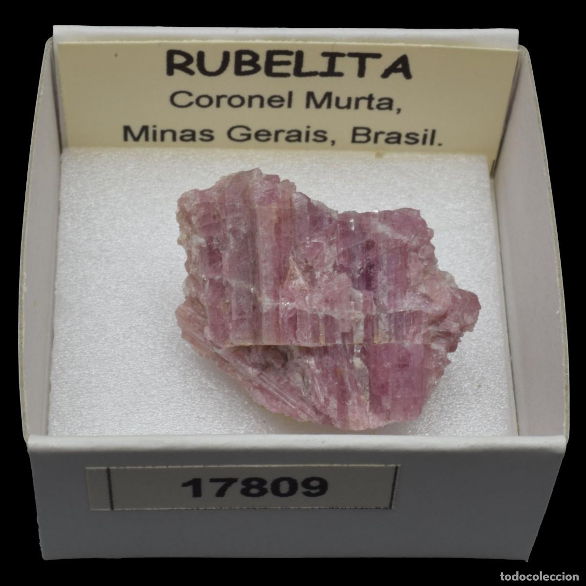 Collectionnisme de min&eacute;raux: RUBELITA (Coronel Murta, Minas Gerais, Brasil) #17809