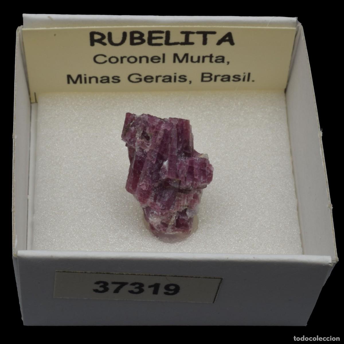 Coleccionismo de minerales: RUBELITA (Coronel Murta, Minas Gerais, Brasil) #37319