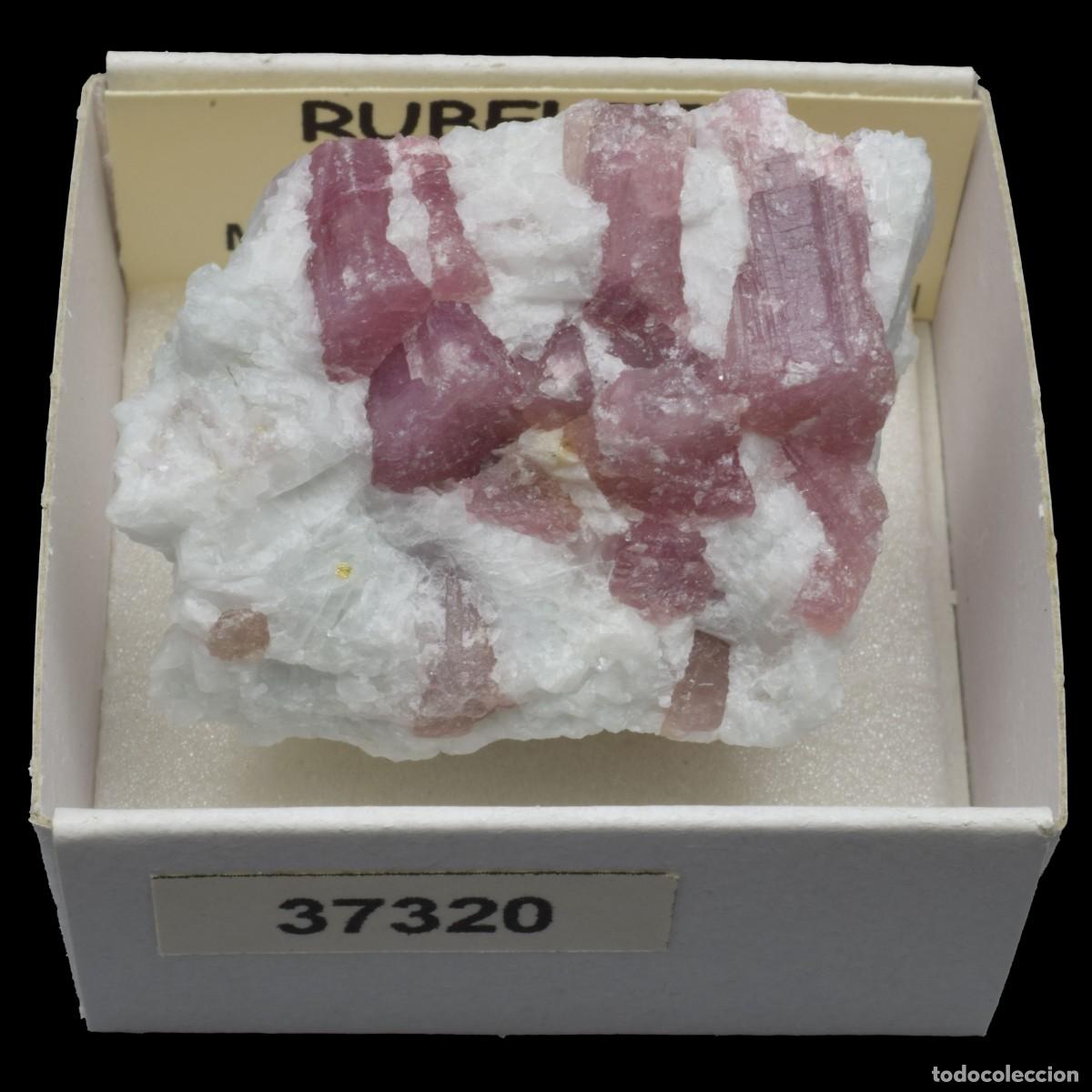 Coleccionismo de minerales: RUBELITA (Ara&ccedil;uai, Minas Gerais, Brasil) #37320