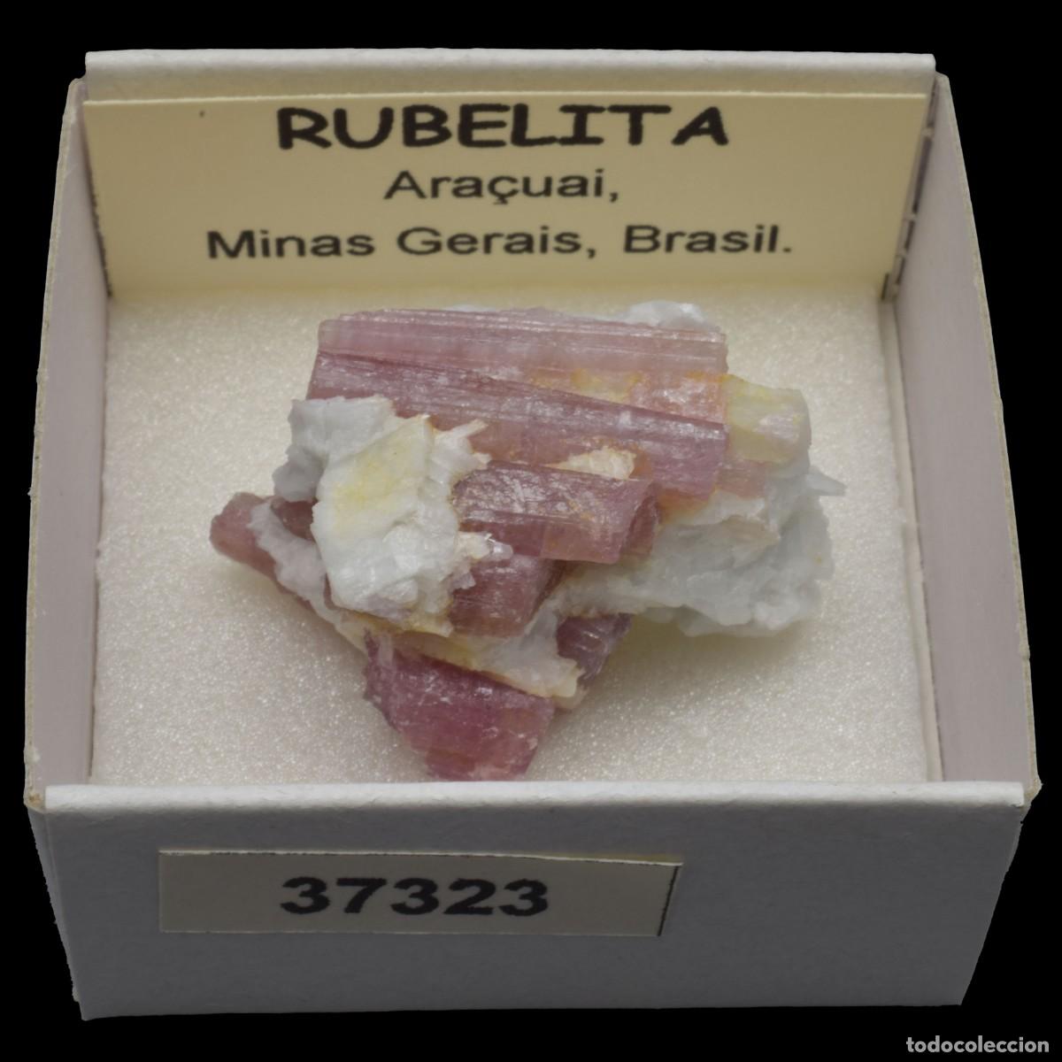 Coleccionismo de minerales: RUBELITA (Ara&ccedil;uai, Minas Gerais, Brasil) #37323