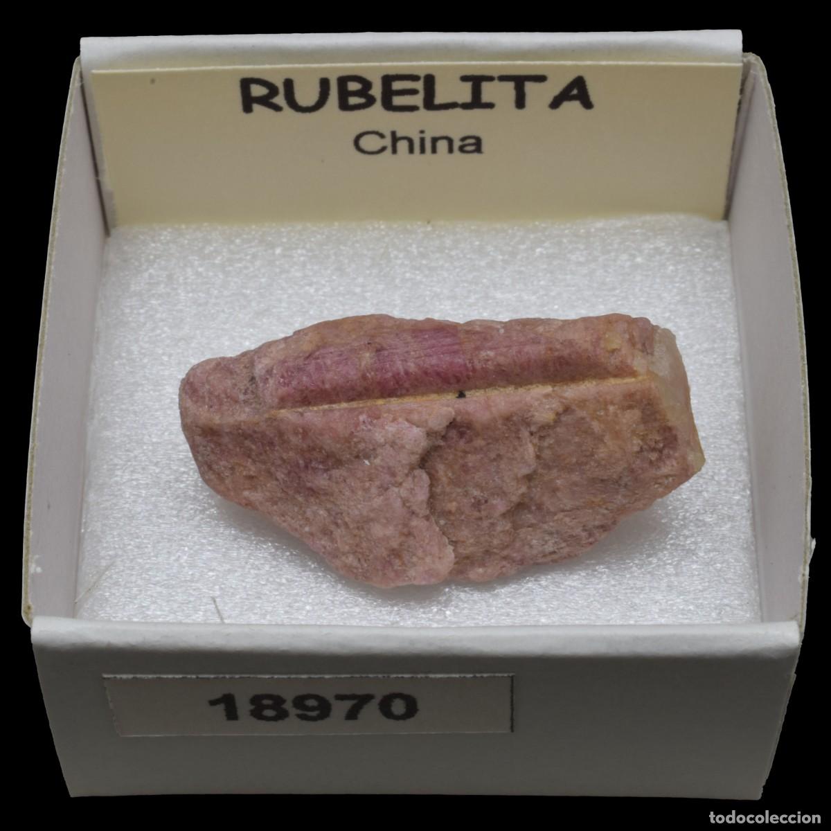 Coleccionismo de minerales: RUBELITA (China) #18970