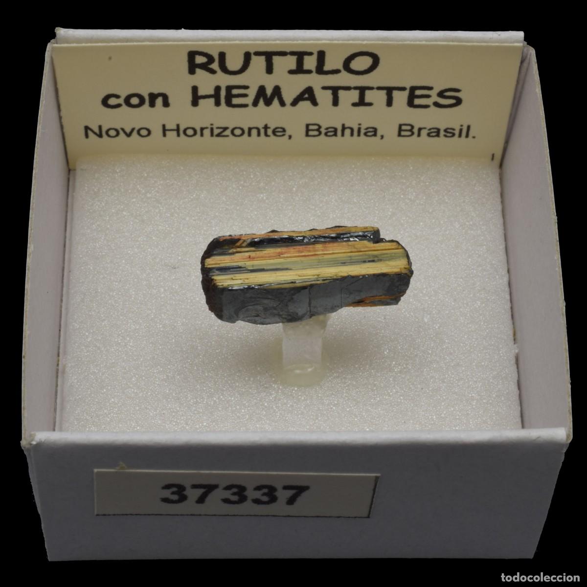 Coleccionismo de minerales: RUTILO con HEMATITES (Novo Horizonte, Bahia, Brasil) #37337