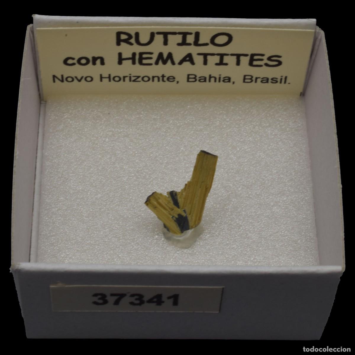 Coleccionismo de minerales: RUTILO con HEMATITES (Novo Horizonte, Bahia, Brasil) #37341