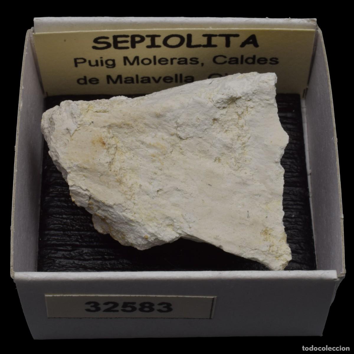 Coleccionismo de minerales: SEPIOLITA (Puig Moleres, Caldes de Malavella, Girona, Espa&ntilde;a) #32583