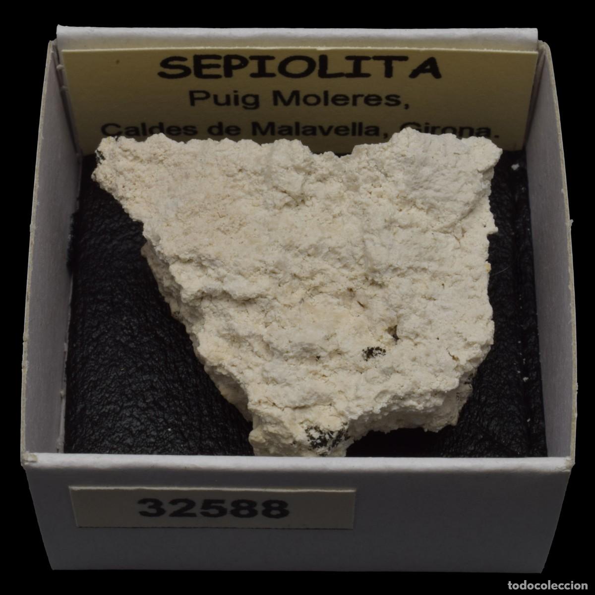 Coleccionismo de minerales: SEPIOLITA (Puig Moleres, Caldes de Malavella, Girona, Espa&ntilde;a) #32588