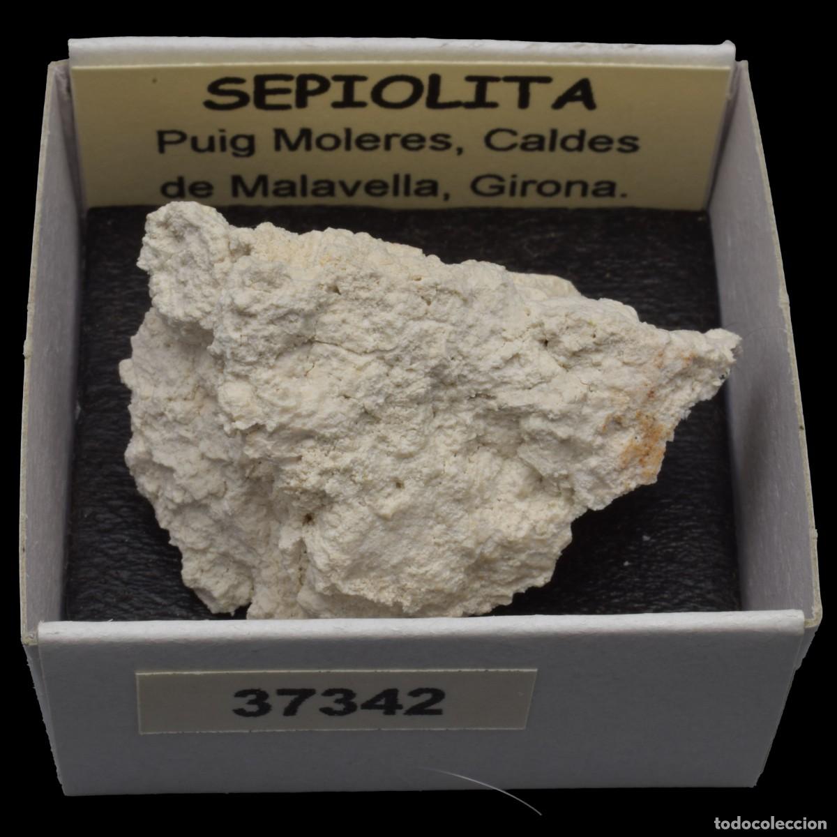 Coleccionismo de minerales: SEPIOLITA (Puig Moleres, Caldes de Malavella, Girona, Espa&ntilde;a) #37342