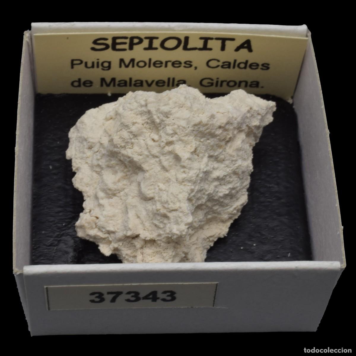 Coleccionismo de minerales: SEPIOLITA (Puig Moleres, Caldes de Malavella, Girona, Espa&ntilde;a) #37343