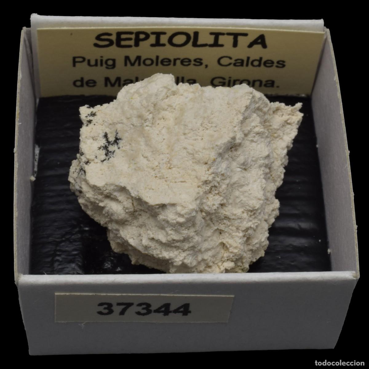 Coleccionismo de minerales: SEPIOLITA (Puig Moleres, Caldes de Malavella, Girona, Espa&ntilde;a) #37344