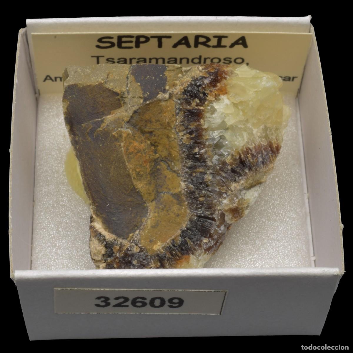 Coleccionismo de minerales: SEPTARIA (Tsaramandroso, Ambato-Boeni, Boeny, Madagascar) #32609