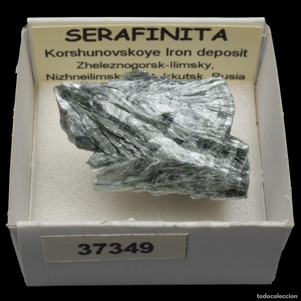 Coleccionismo de minerales: SERAFINITA (Korshunovskoye Iron deposit, Zheleznogorsk-Ilimsky, Irkutsk, Rusia) #37349