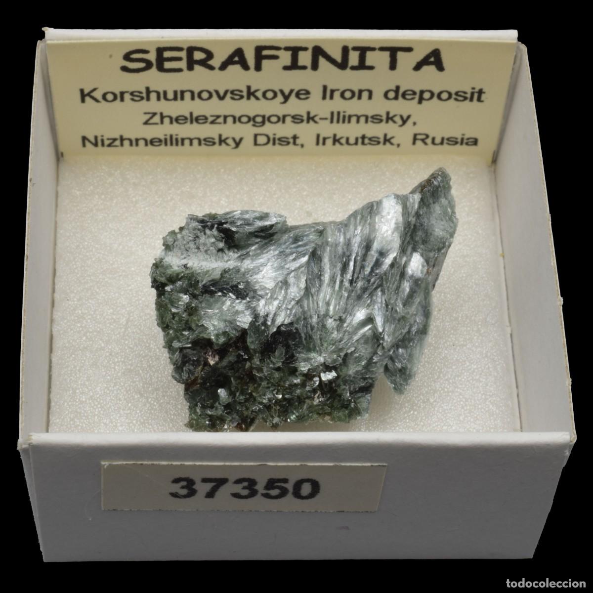 Coleccionismo de minerales: SERAFINITA (Korshunovskoye Iron deposit, Zheleznogorsk-Ilimsky, Irkutsk, Rusia) #37350