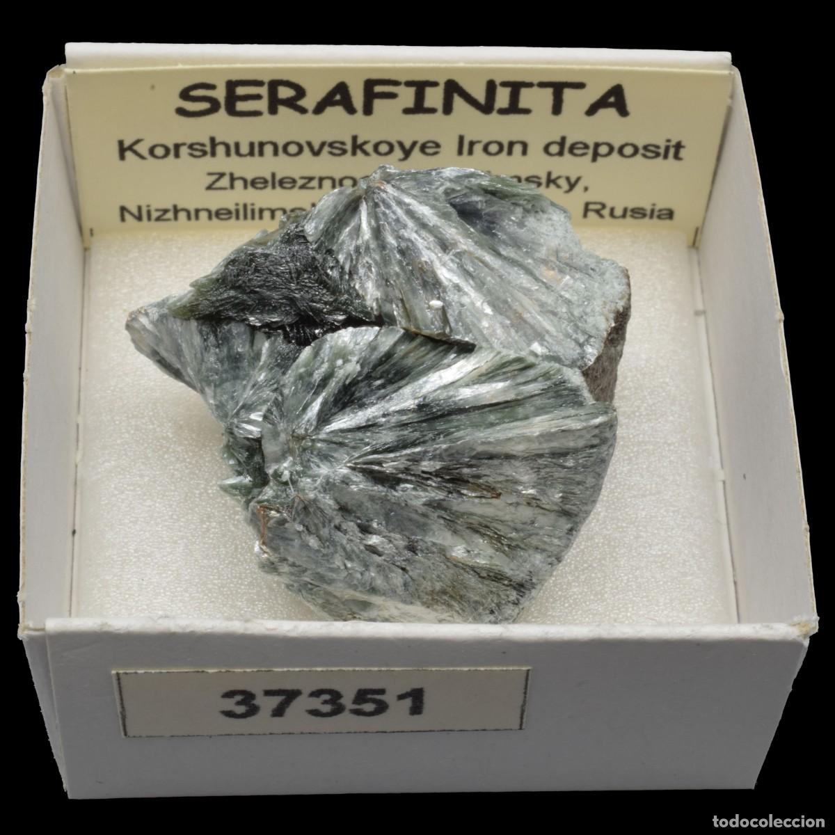 Coleccionismo de minerales: SERAFINITA (Korshunovskoye Iron deposit, Zheleznogorsk-Ilimsky, Irkutsk, Rusia) #37351