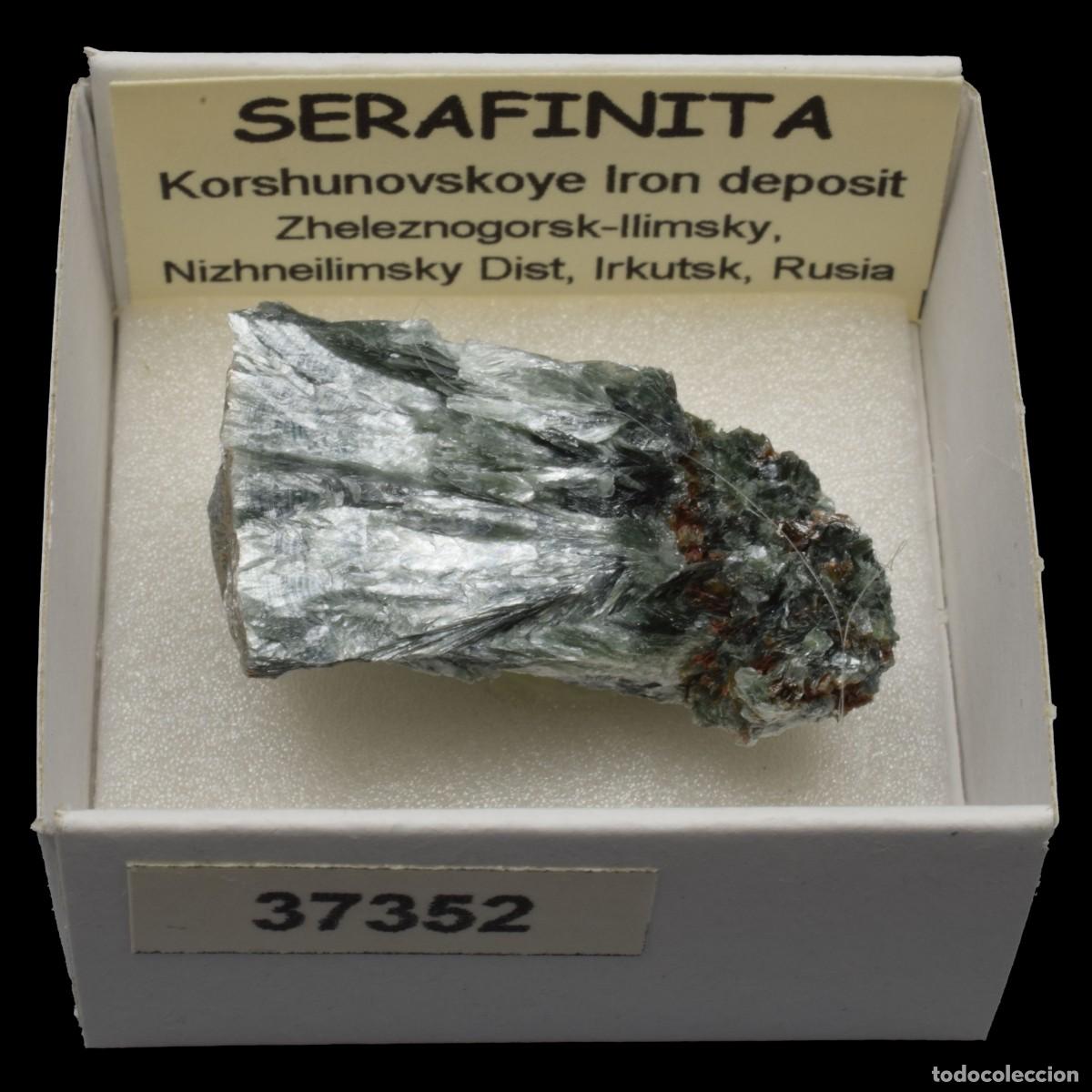 Coleccionismo de minerales: SERAFINITA (Korshunovskoye Iron deposit, Zheleznogorsk-Ilimsky, Irkutsk, Rusia) #37352
