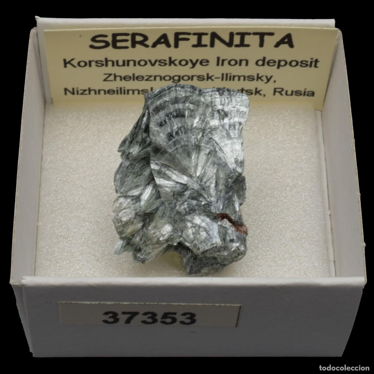 Coleccionismo de minerales: SERAFINITA (Korshunovskoye Iron deposit, Zheleznogorsk-Ilimsky, Irkutsk, Rusia) #37353