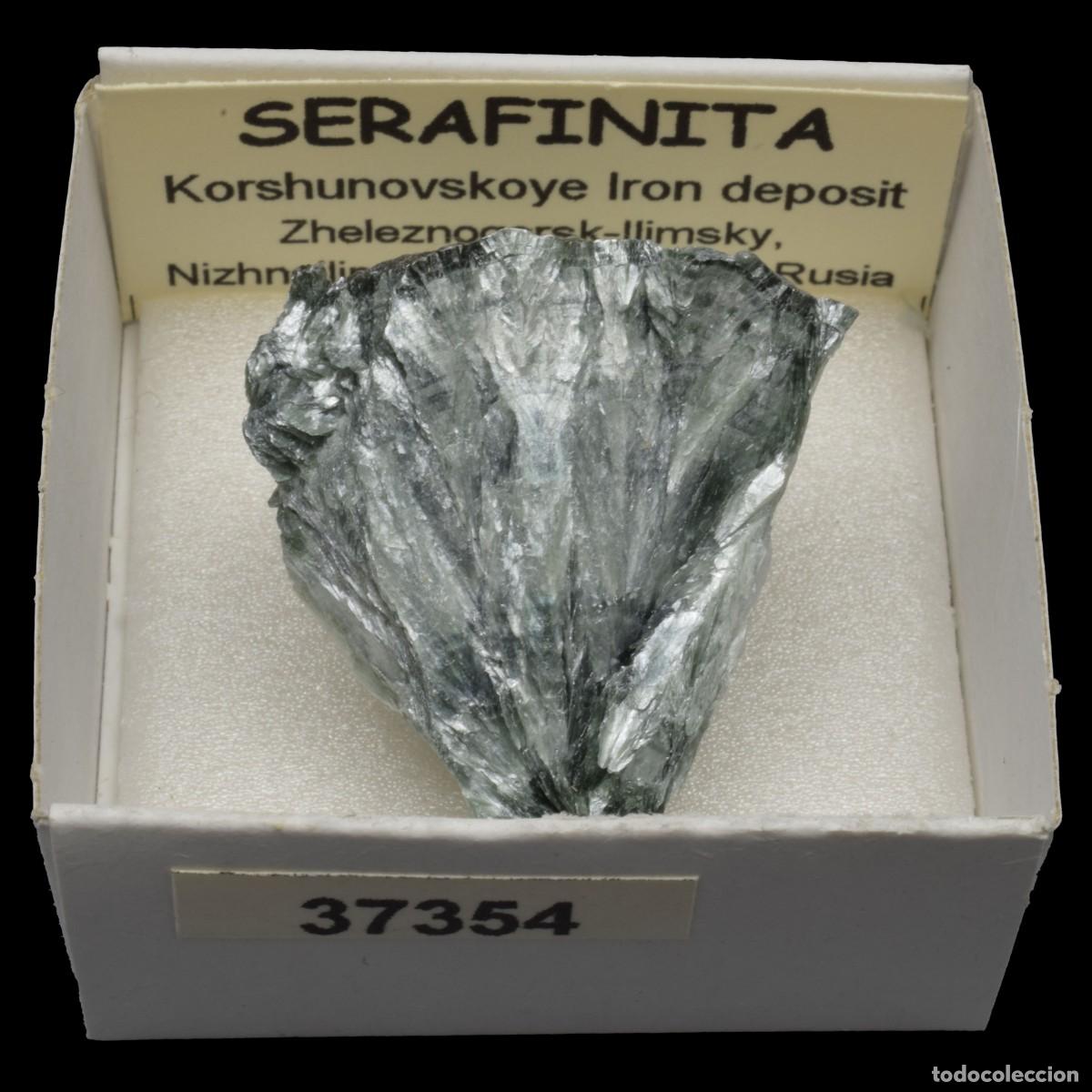 Coleccionismo de minerales: SERAFINITA (Korshunovskoye Iron deposit, Zheleznogorsk-Ilimsky, Irkutsk, Rusia) #37354