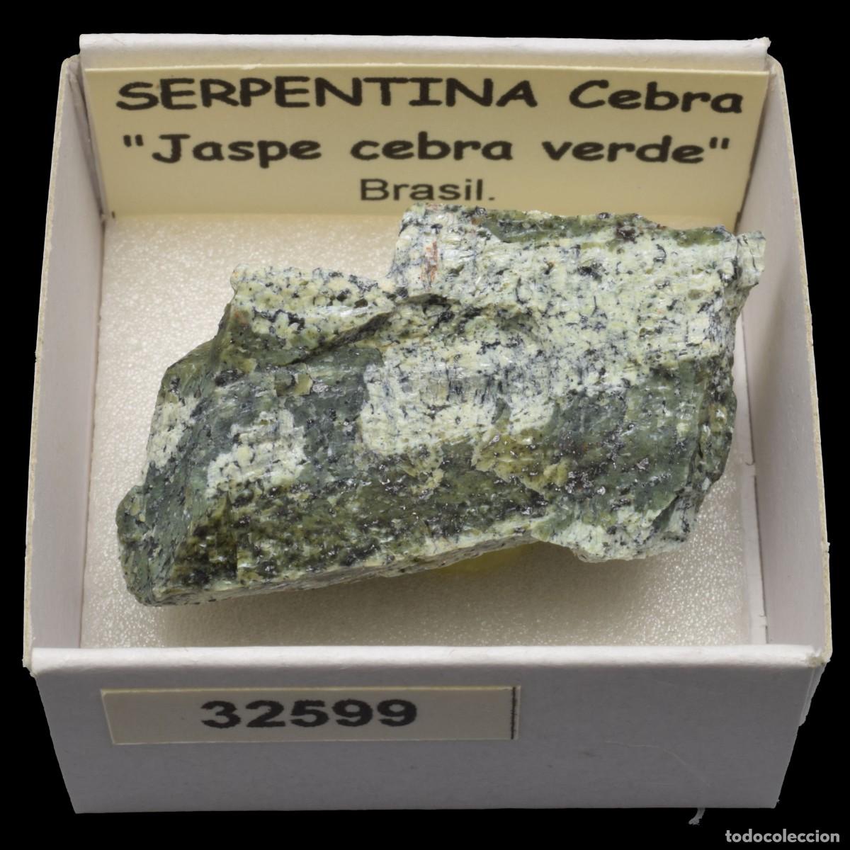 Collectionnisme de min&eacute;raux: SERPENTINA Cebra &rdquo;Jaspe cebra verde&rdquo; (Brasil) #32599