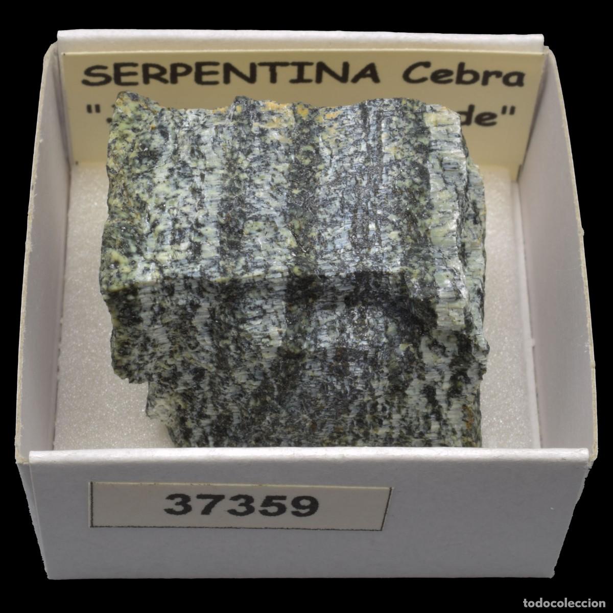 Coleccionismo de minerales: SERPENTINA Cebra &rdquo;Jaspe cebra verde&rdquo; (Brasil) #37359
