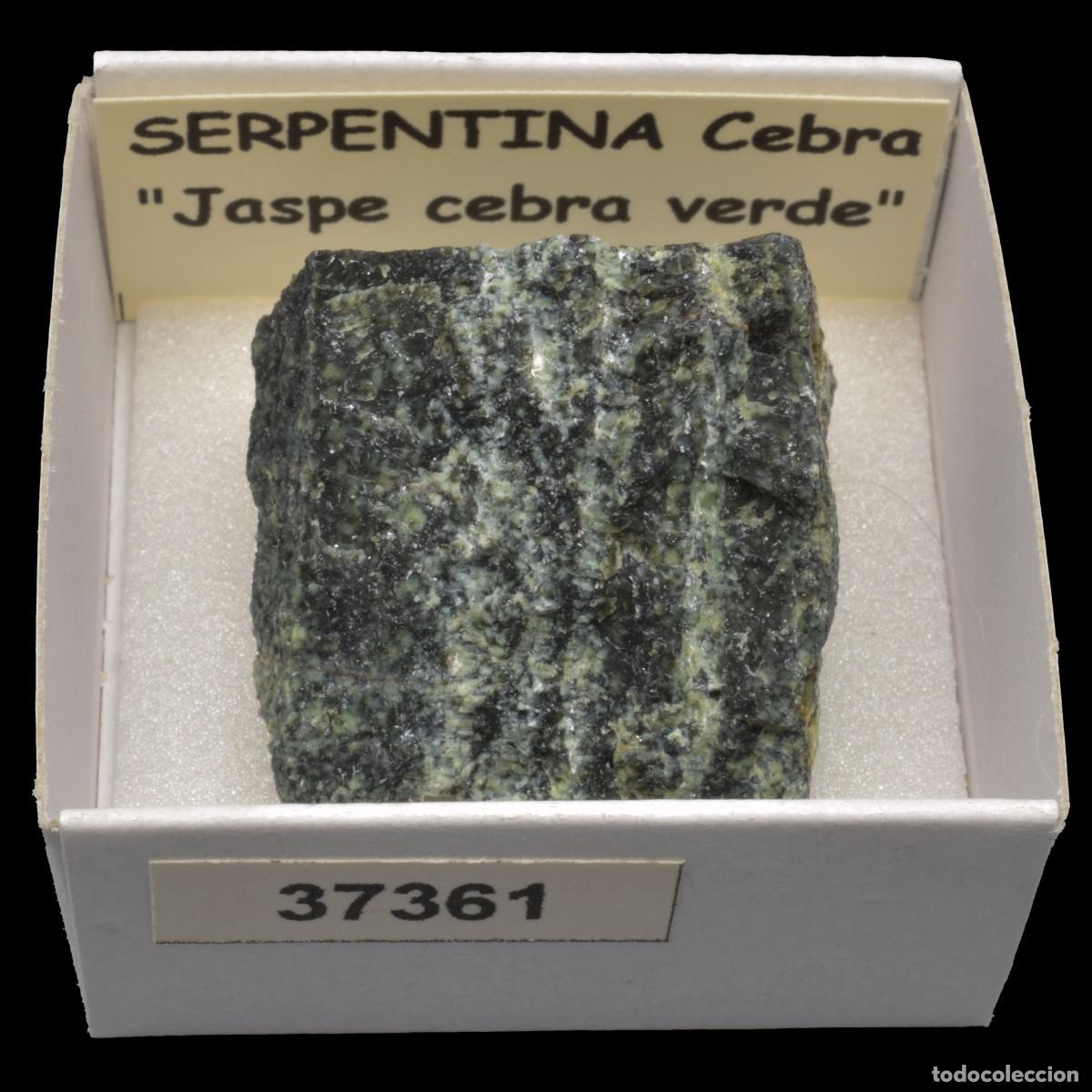 Sammlung von Mineralien: SERPENTINA Cebra &rdquo;Jaspe cebra verde&rdquo; (Brasil) #37361